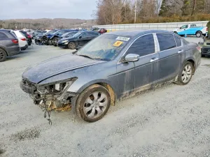 Honda Accord EXL 3.5L 6 2008