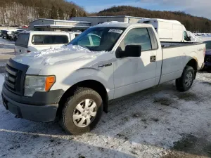 Ford F-150 4.6L 8 2010