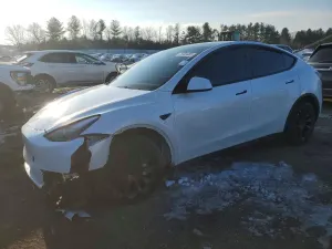 Tesla Model Y 2024