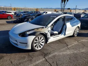 Tesla Model 3 2019