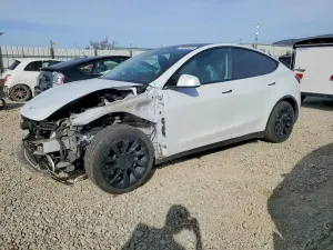 Tesla Model Y 2021