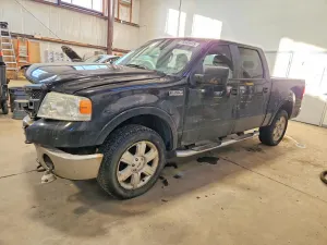 Ford F-150 5.4L 8 2007