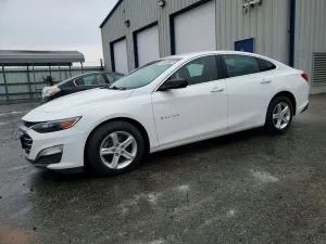 Chevrolet Malibu 1.5L 4 2019