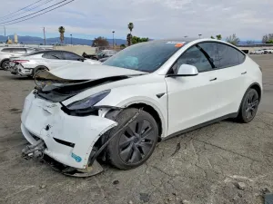 Tesla Model Y 2025