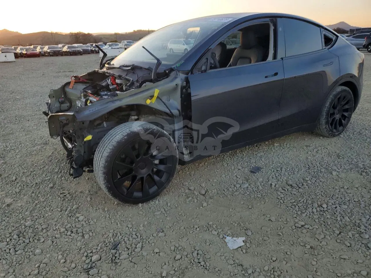 Tesla Model Y 2024