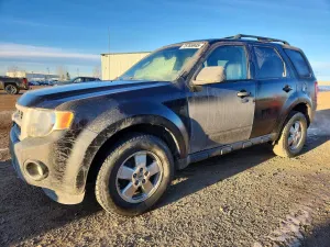 Ford Escape XLT 2.5L 4 2011