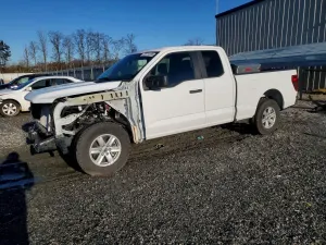 Ford F-150 XL 5.0L 8 2024