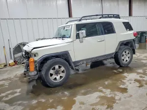Toyota FJ Cruiser 4.0L 6 2010
