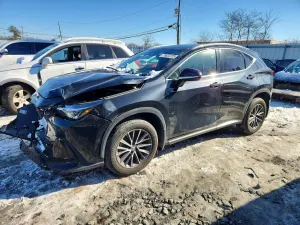 Lexus NX 350 2.4L 4 2022