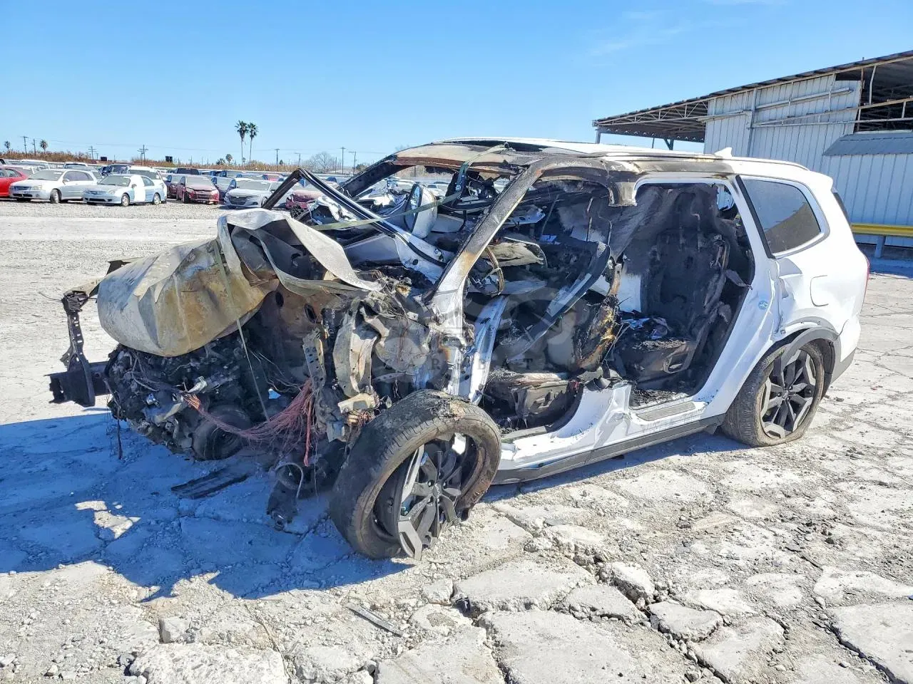 Kia Telluride 3.8L 6 2024