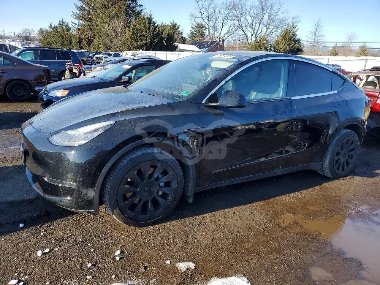 Tesla Model Y 2020