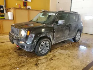 Jeep Renegade TRAILHAWK 2.4L 4 2015