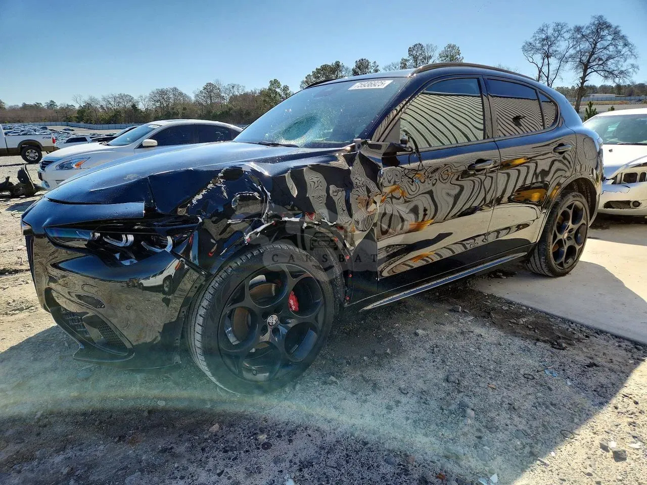 Alfa Romeo Stelvio 2.0L 4 2024
