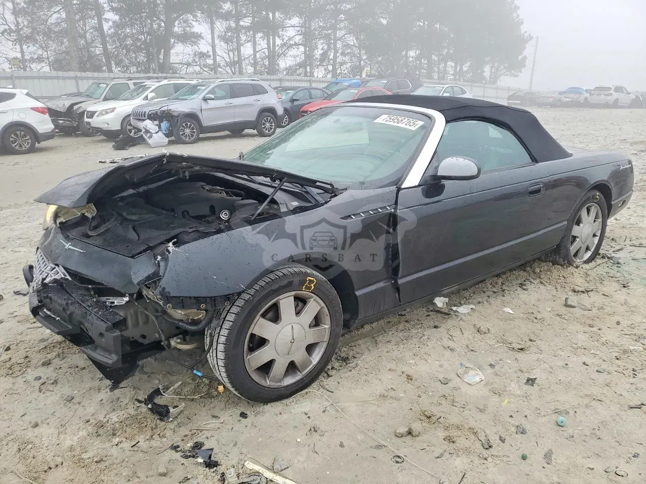 Ford Thunderbird 3.9L 8 2002