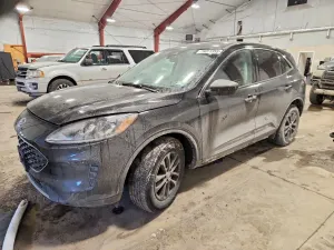 Ford Escape SE 1.5L 3 2022