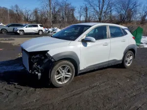 Hyundai Kona 2.0L 4 2018