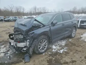 Honda CR-V EXL 1.5L 4 2023
