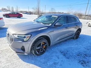 Audi E-Tron PROGRESSIV 2019