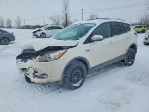Ford Escape 2.0L 4 2013