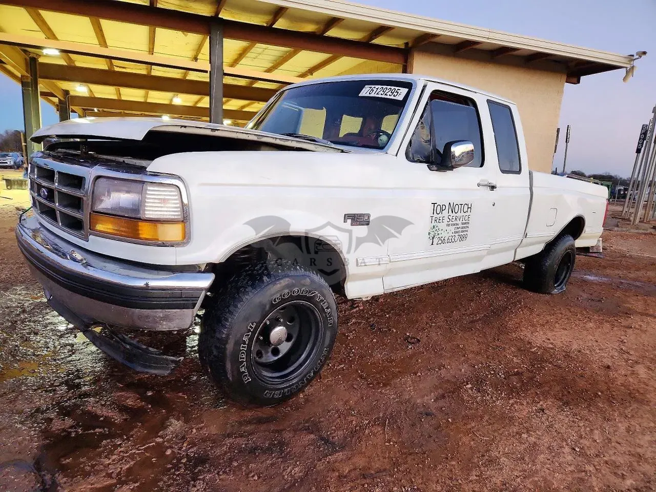Ford F-150 4.9L 6 1993