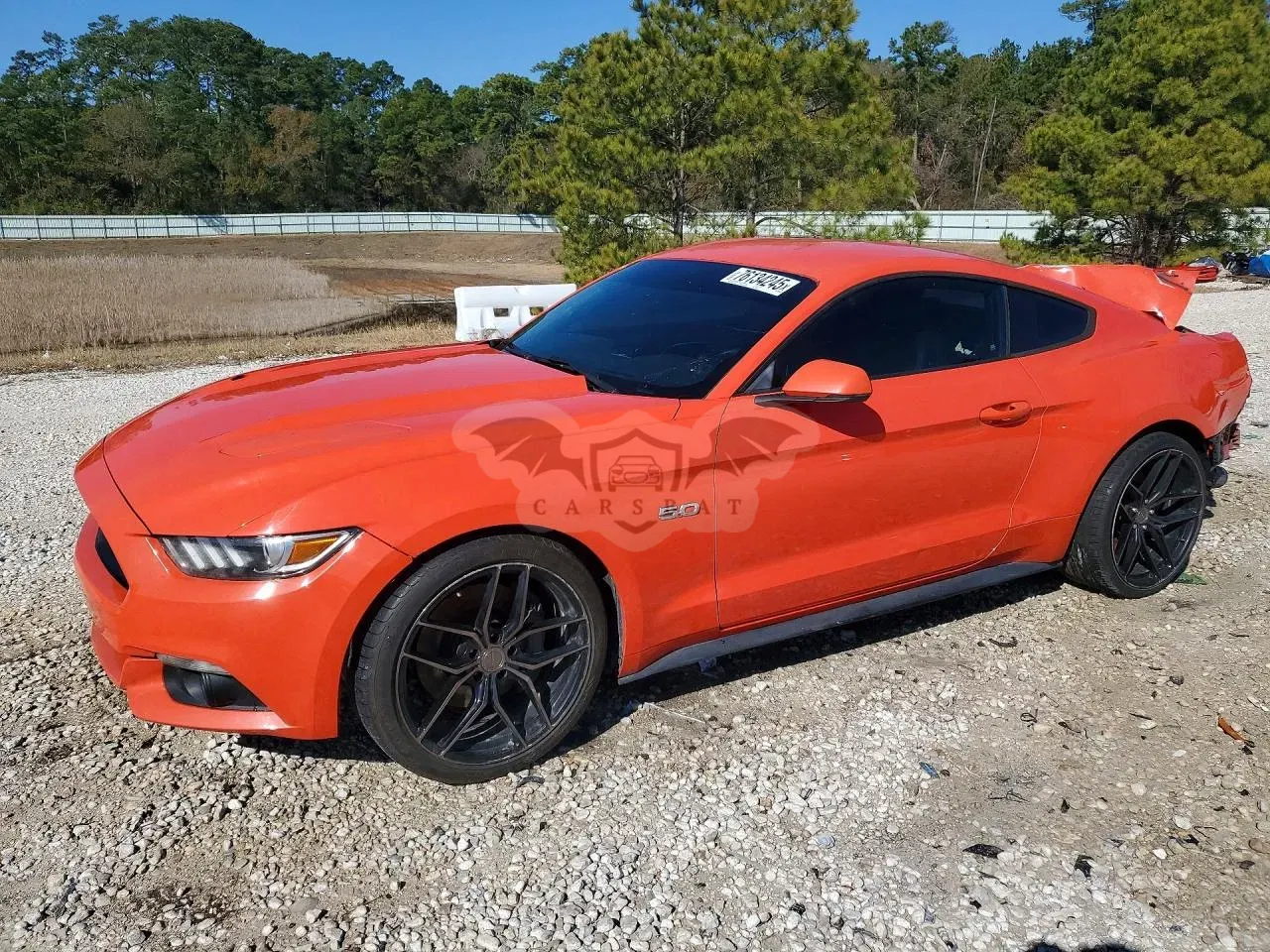 Ford Mustang GT 5.0L 8 2016