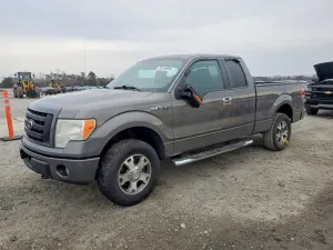 Ford F-150 SUPER CAB 4.6L 8 2010