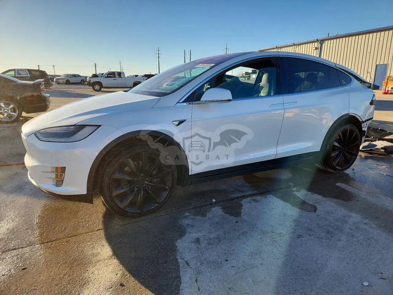 Tesla Model X 2019