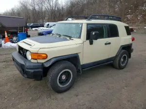Toyota FJ Cruiser 4.0L 6 2010