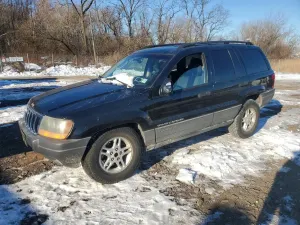 Jeep Grand Cherokee LAREDO 4.0L 6 2002