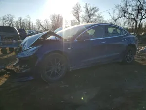 Tesla Model 3 2019