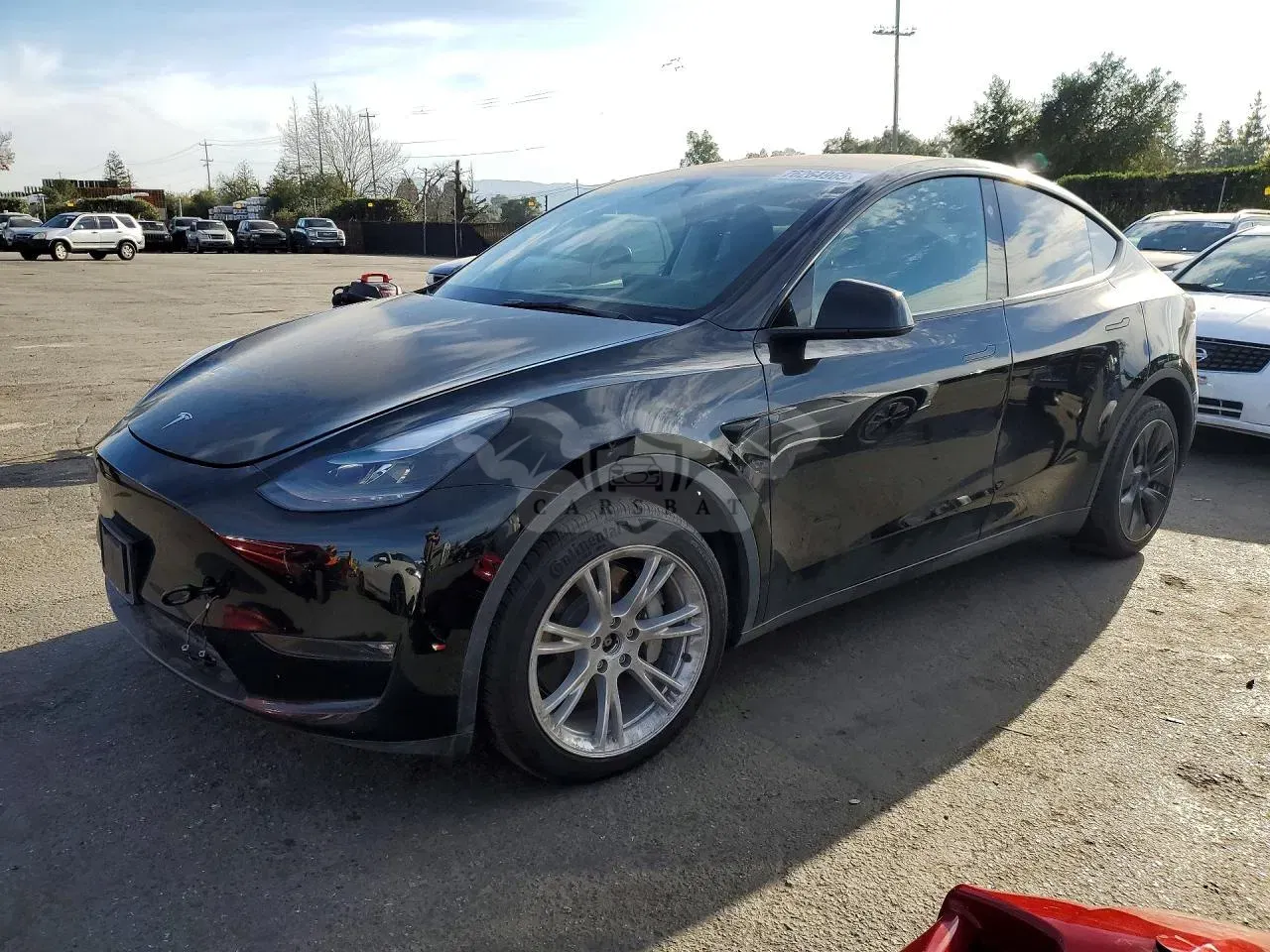 Tesla Model Y 2023