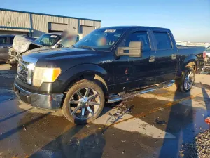 Ford F-150 SUPERCREW 4.6L 8 2009
