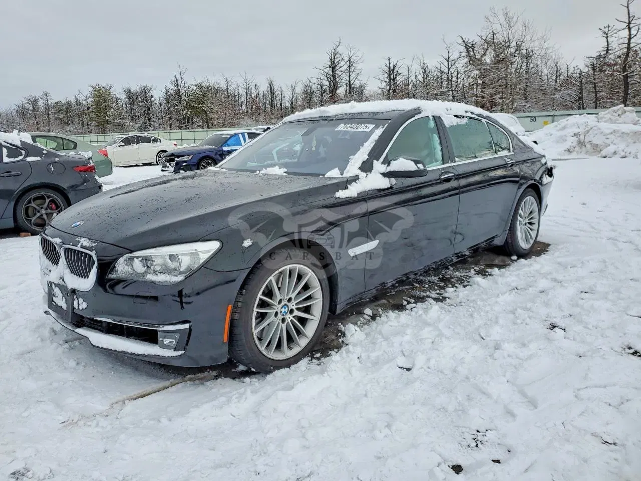 BMW 7 Series LI 4.4L 8 2013
