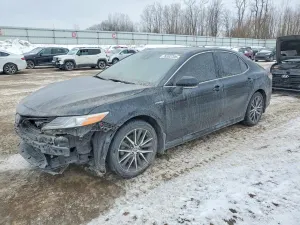 Toyota Camry XLE 2.5L 4 2021