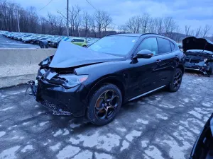 Alfa Romeo Stelvio 2.0L 4 2025