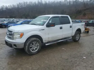 Ford F-150 SUPERCREW 5.0L 8 2013