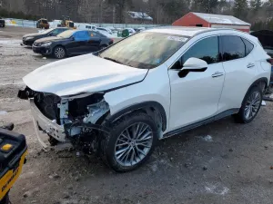 Lexus NX 350H 2.5L 4 2023
