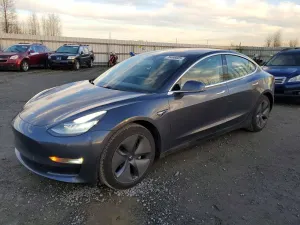 Tesla Model 3 2019