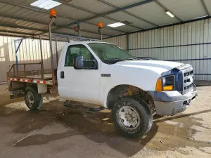Ford F-250 5.4L 8 2006