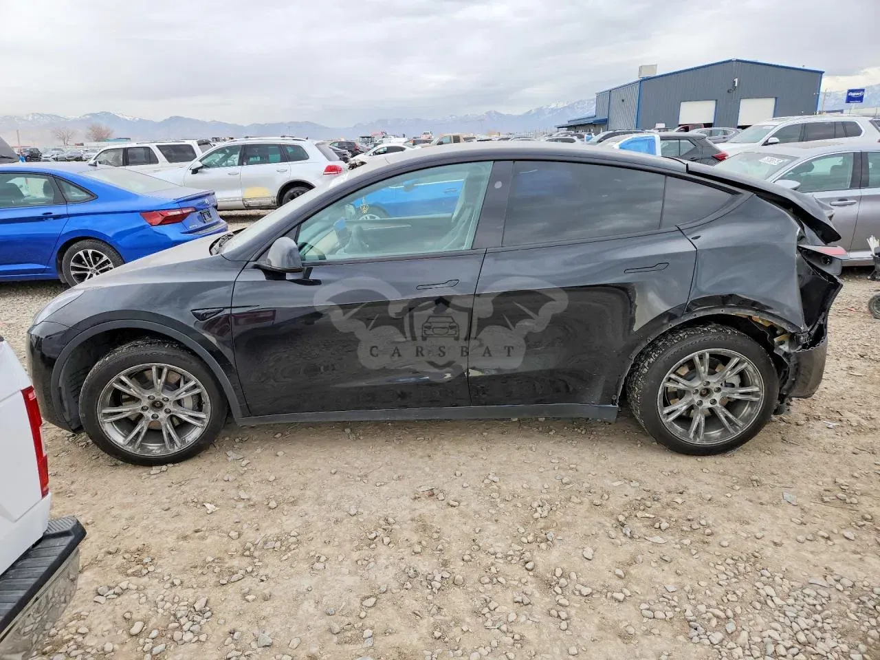 Tesla Model Y 2024