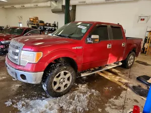 Ford F-150 SUPERCREW 5.0L 8 2013