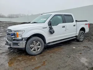 Ford F-150 5.0L 8 2020