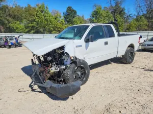 Ford F-150 4.6L 8 2007