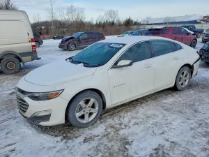 Chevrolet Malibu LS 1.5L 4 2024