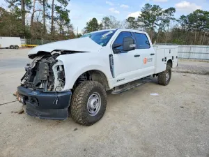 Ford F-250 SUPER DUTY 6.7L 8 2024