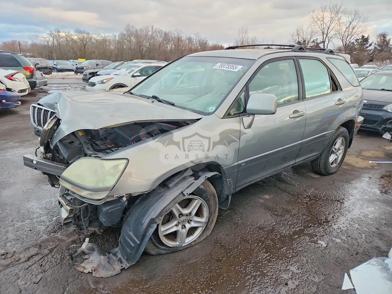 Lexus RX 300 3.0L 6 2002