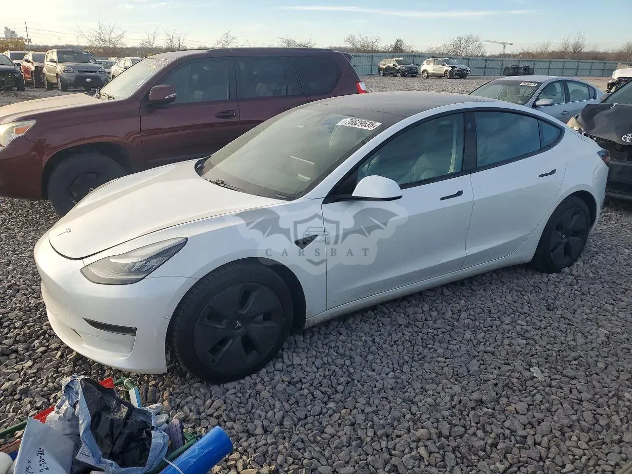 Tesla Model 3 2021