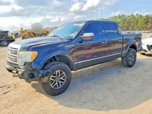 Ford F-150 SUPERCREW 5.4L 8 2010