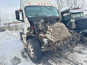 Freightliner Cascadia 15.6L 6 2020