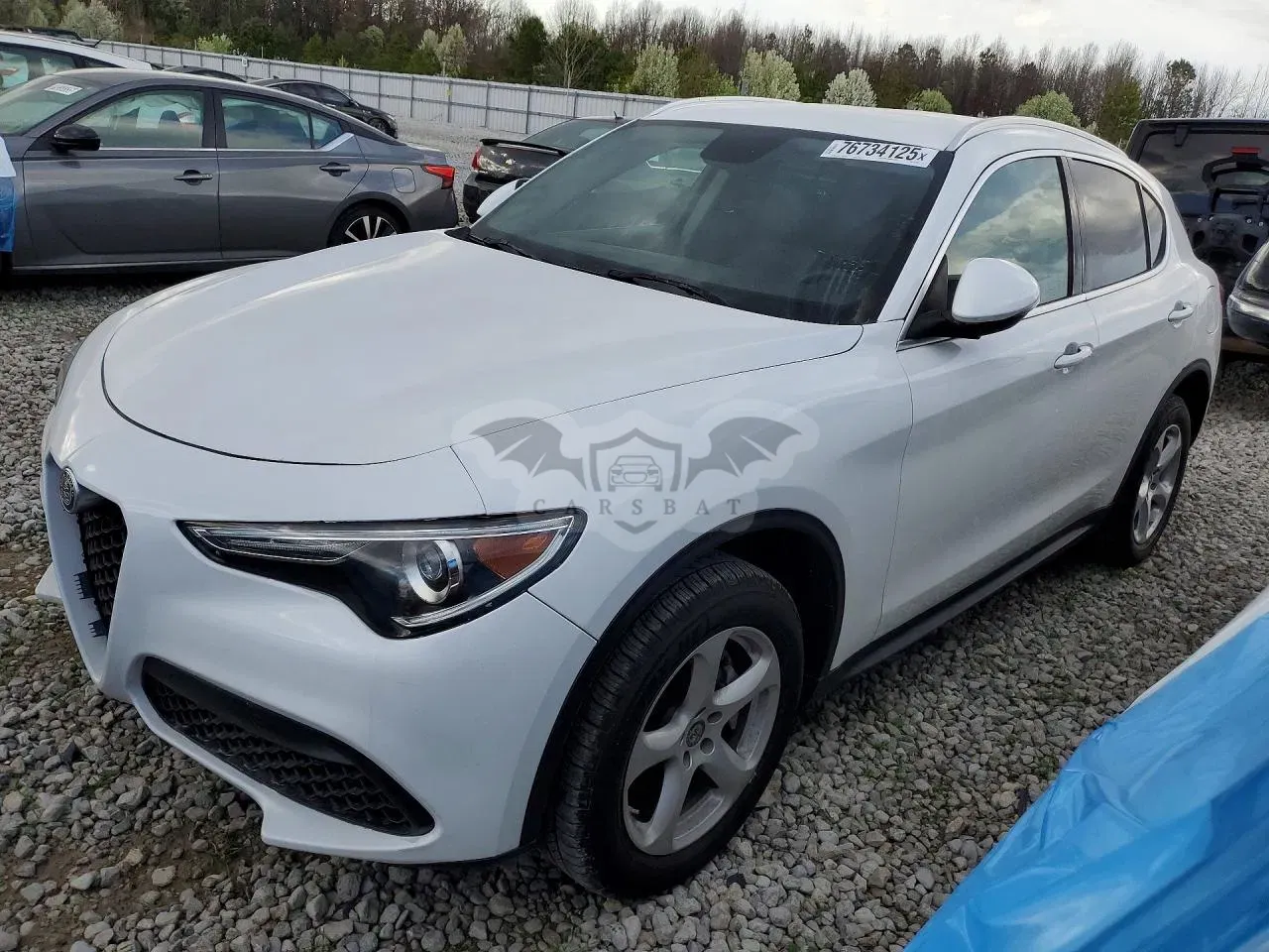 Alfa Romeo Stelvio 2.0L 4 2019